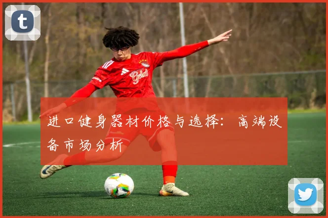 进口健身器材价格与选择:高端设备市场分析